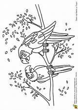 Perroquets sketch template