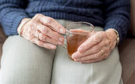 essential health tips  caring  frail seniors frail care