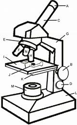 Microscope Label Clipart sketch template