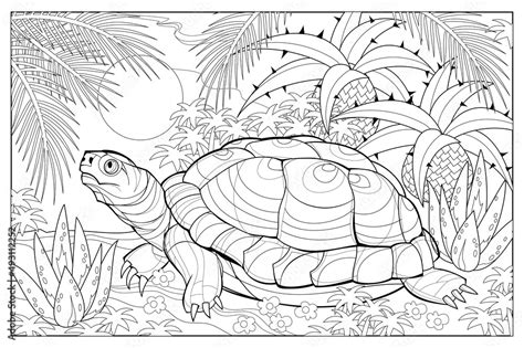illustration  cute turtle coloring book  children  adults