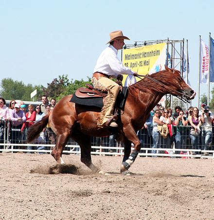 national reining horse assn professionals   year announced