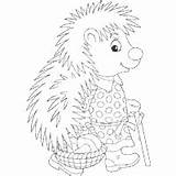 Porcupine Coloring Surfnetkids Animals Pages sketch template
