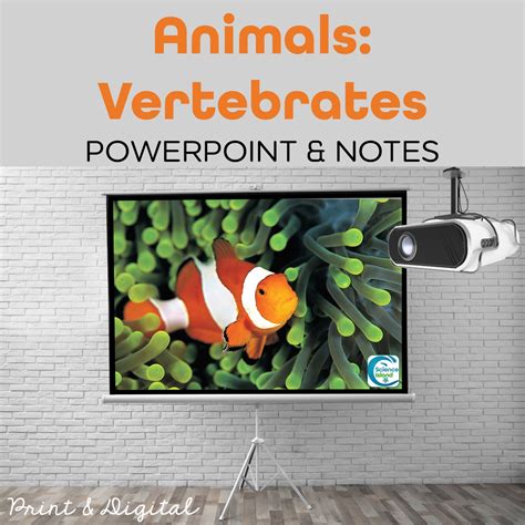 vertebrates powerpoint notes   science island