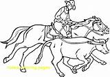 Coloring Pages Steer Rodeo Cowboy Wrestling Horse Getdrawings sketch template