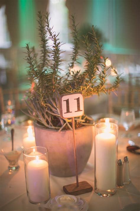 Rosemary And Succulent Wedding Centerpiece In Concrete Pot