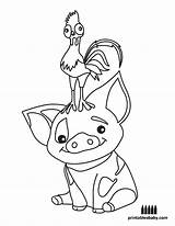 Moana Baby Coloring Pages Pua Disney Drawing Template Printables Drawings Printable Print Step Cute Colouring Pig Sheets Sheet Cartoon Kids sketch template