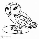 Owl Eule Kolorowanki Eulen Hantu Burung Mewarnai Owls Sowa Sowy Ausmalbilder Dzieci Weise Ausmalbild Ptaki  Wydrukowania Kategorien sketch template