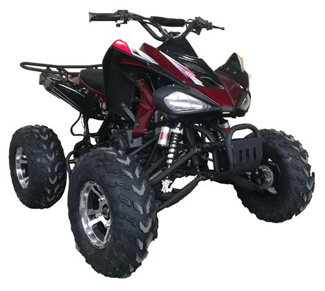 cougar cycle cc sport full auto birdys scooters atvs