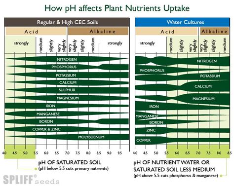 ph affects plant nutrients uptake rmicrogrowery
