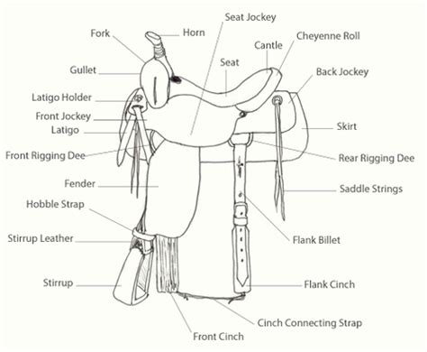 saddle fit  parts  western  english saddles