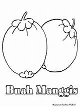Mewarnai Manggis Untuk Rambutan Pohon Mewarnaigambar Setia Dimanapun Semoga Lembaran Menyukai Pengunjung Berada sketch template