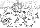 Farm Coloring Animal Pages Animals Sheets Getdrawings sketch template