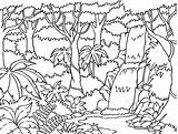 Coloring Pages Ecosystem Rainforest Getdrawings sketch template
