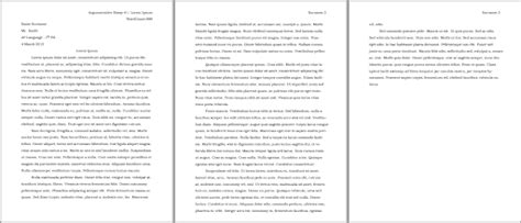 double spaced mla format  copy  writing  personal narrative