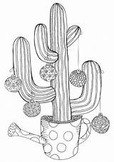Succulent Succulents Verbnow Watering Tall sketch template