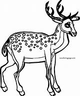 Spotted Coloring Deer Wecoloringpage sketch template