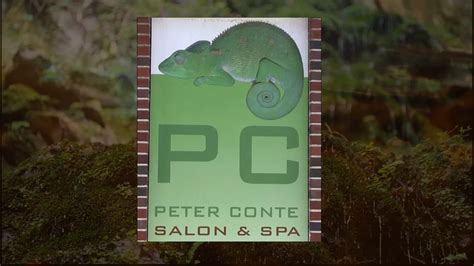 business peter conte salon spa  vimeo