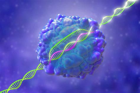 crispr upgrade   genome editing   safer  scientist