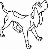 Coloring Copper Dog Wecoloringpage sketch template