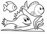 Fish Coloring Pages Saltwater Getdrawings sketch template