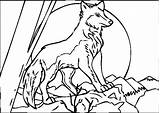 Wolf Coloring Pages Wolves Moon Howling Baby Printable Color Print Grey Link Cute Animal Theme Getdrawings Anime Getcolorings Minecraft Colorings sketch template