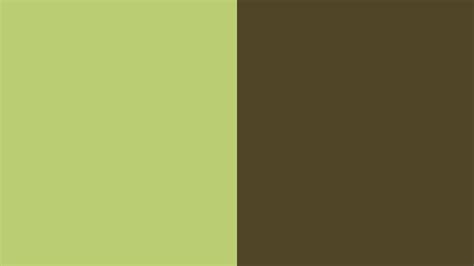 green  brown wallpapers top  green  brown backgrounds