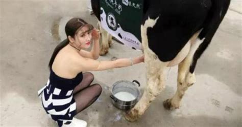 Women Sexy Milk Cow Milker Hebohkan Beijing City Streets