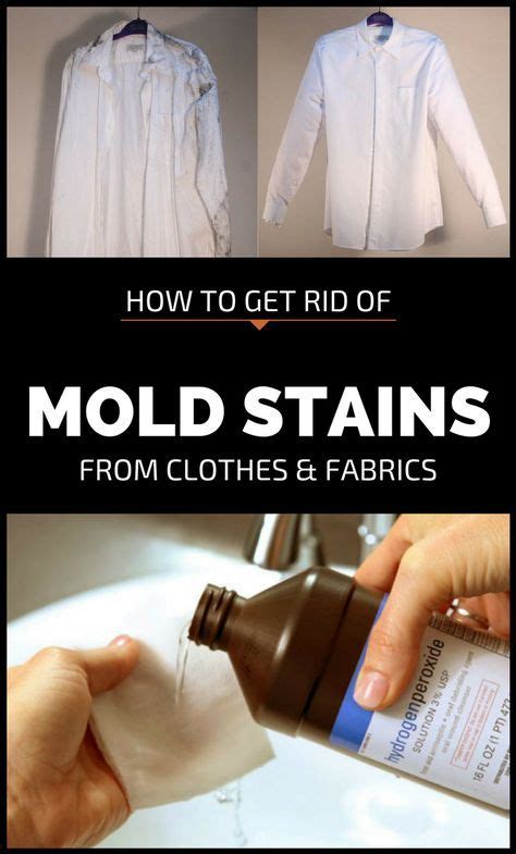mold stains    moisture    easy  identify
