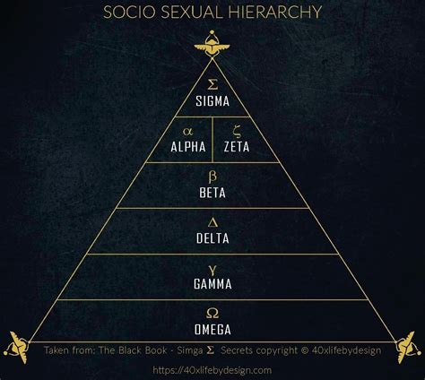 omega male personality traits   social hierarchy