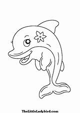 Dolphin Coloring Bottlenose Getdrawings sketch template