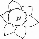 Daffodil Head Colouring Davids St Colour Pedr Badge Printable sketch template