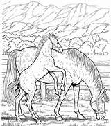 Coloring Pages Horse sketch template