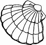 Clam Coloring Pages Colouring Cartoon Clipart Shells Pearl Template Fish Gif Clipartbest Cliparts Results sketch template