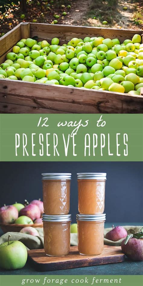 ways  preserve apples canning freezing drying