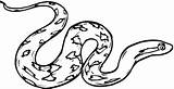 Rattlesnake Ular Mewarnai Hewan sketch template