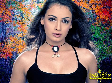 Diya Mirza Sexy Hot Wallpaper ~ Hd Wallpapers High Definition 100