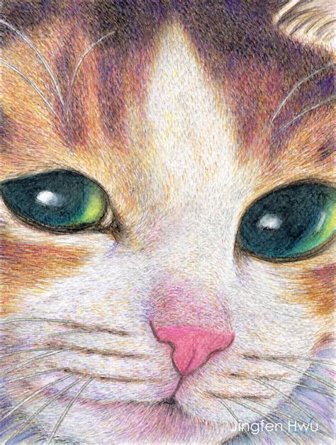 calico cat drawing digital print closeup   calico cat
