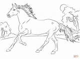 Horse Coloring Pages Morgan Getcolorings sketch template