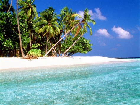 world visits tropical island beach wallpaper  review