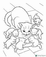 Coloring Cat Pages Printable Cats Kids sketch template
