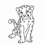 Cheetah Coloring Baby Cute Pages Drawing Kids Cub Face Print Color Printable Draw Getdrawings Animals Netart Getcolorings Popular sketch template