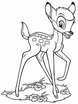 Disney Bambi Coloring Pages Characters Walt Fanpop sketch template