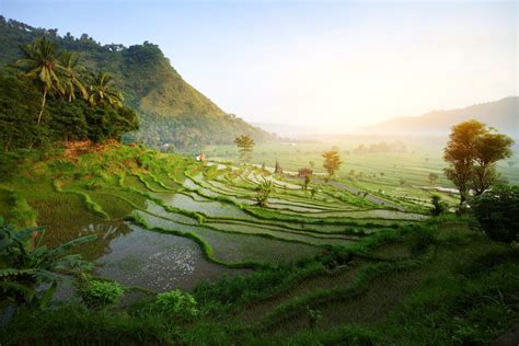 wussten sie schon indonesien fakten enchanting travels
