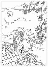 Eulen Owls Erwachsene Malbuch Fur Print Marion sketch template