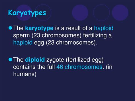 Ppt Pedigrees And Karyotypes Powerpoint Presentation Free Download