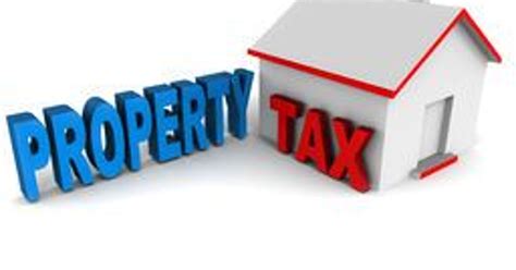 council sets millage rates  alexandria property taxes