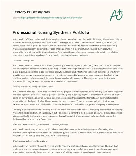 professional nursing synthesis portfolio paper  phdessaycom