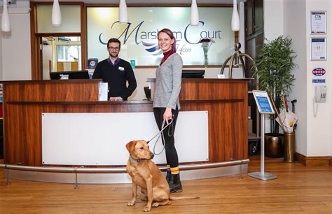 dog friendly hotel   lockdown marsham court