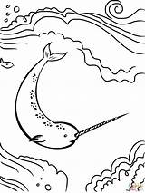 Coloring Narwhal Pages Unicorn Sea Printable Drawing Kids Color Cute Print Baby Whale Template Getcolorings Supercoloring sketch template