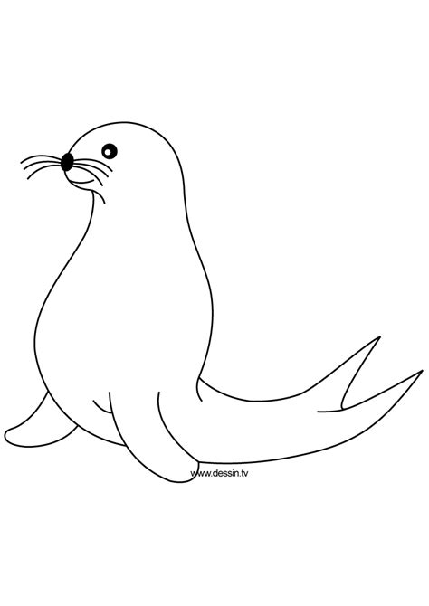 coloring seal